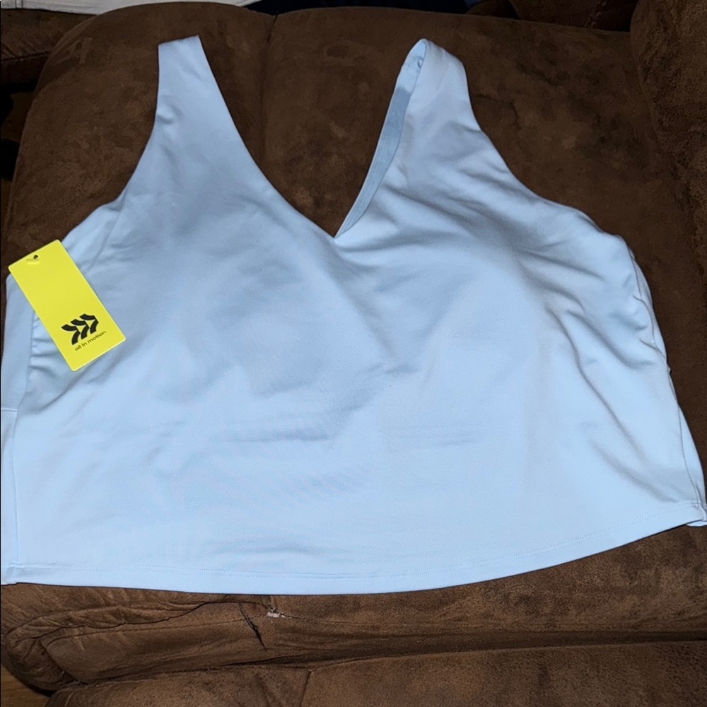 Light Blue V-Neck Cropped Sports Bra